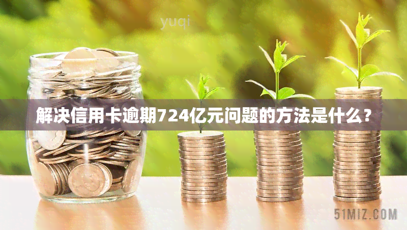 解决信用卡逾期724亿元问题的方法是什么？