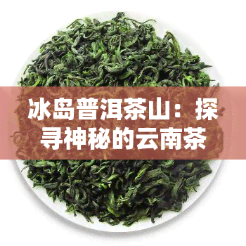 冰岛普洱茶山：探寻神秘的云南茶山头