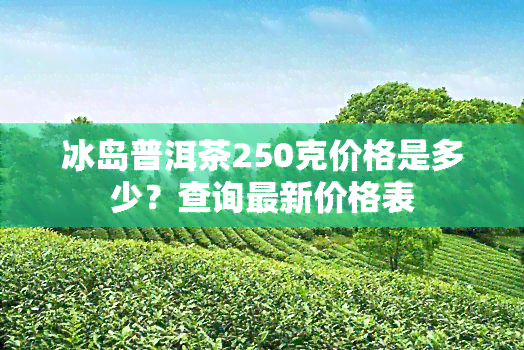 冰岛普洱茶250克价格是多少？查询最新价格表