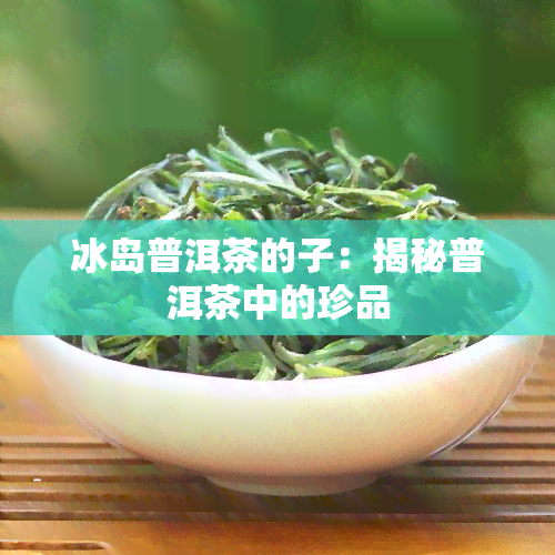 冰岛普洱茶的子：揭秘普洱茶中的珍品