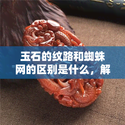 玉石的纹路和蜘蛛网的区别是什么，解密玉石与蜘蛛网：探究两者纹路的异同