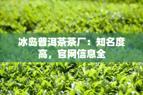 冰岛普洱茶茶厂：知名度高，官网信息全