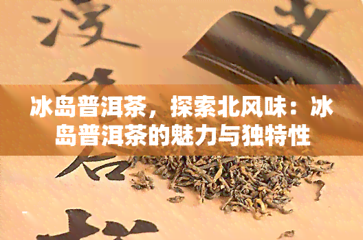 冰岛普洱茶，探索北风味：冰岛普洱茶的魅力与独特性