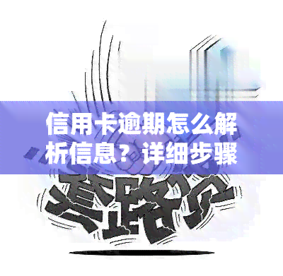 信用卡逾期怎么解析信息？详细步骤与查询方法