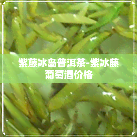 紫藤冰岛普洱茶-紫冰藤葡萄酒价格