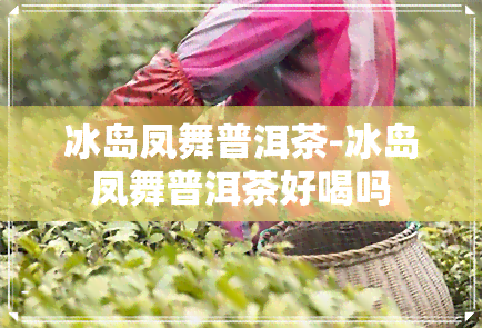 冰岛凤舞普洱茶-冰岛凤舞普洱茶好喝吗