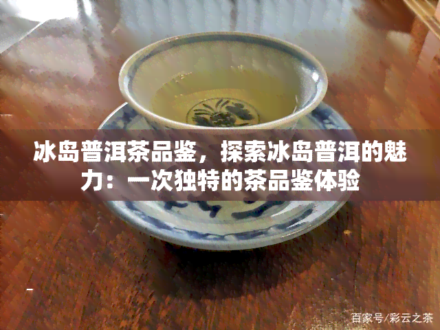 冰岛普洱茶品鉴，探索冰岛普洱的魅力：一次独特的茶品鉴体验