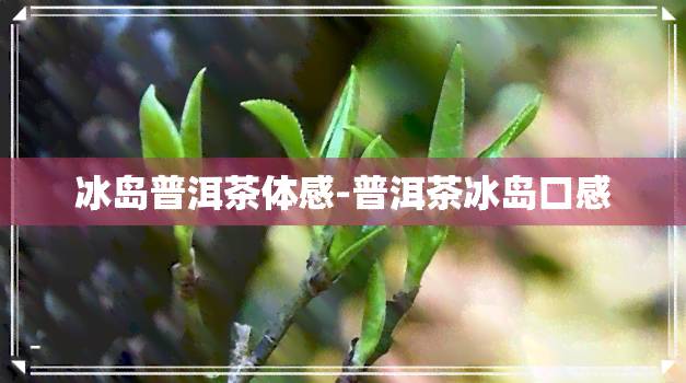 冰岛普洱茶体感-普洱茶冰岛口感