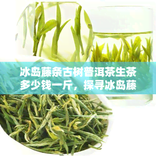 冰岛藤条古树普洱茶生茶多少钱一斤，探寻冰岛藤条古树普洱茶生茶的市场价格