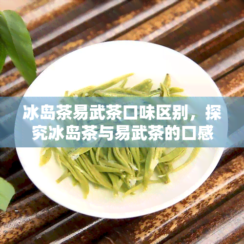 冰岛茶易武茶口味区别，探究冰岛茶与易武茶的口感差异