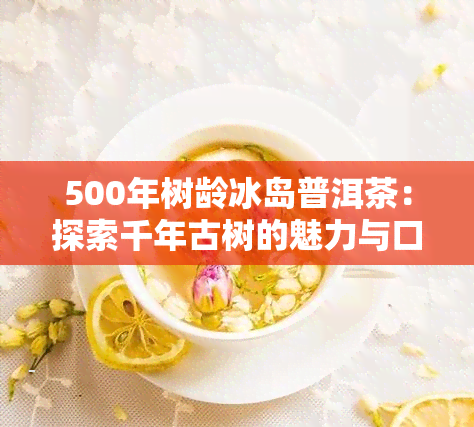 500年树龄冰岛普洱茶：探索千年古树的魅力与口感