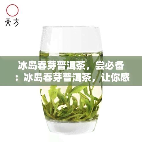 冰岛春芽普洱茶，尝必备：冰岛春芽普洱茶，让你感受大自然的馈赠