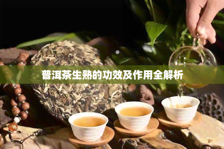 普洱茶生熟的功效及作用全解析