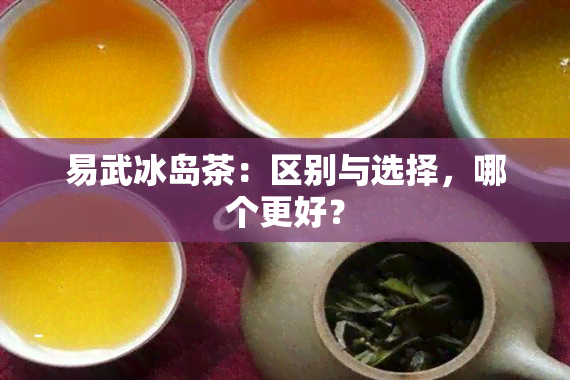 易武冰岛茶：区别与选择，哪个更好？