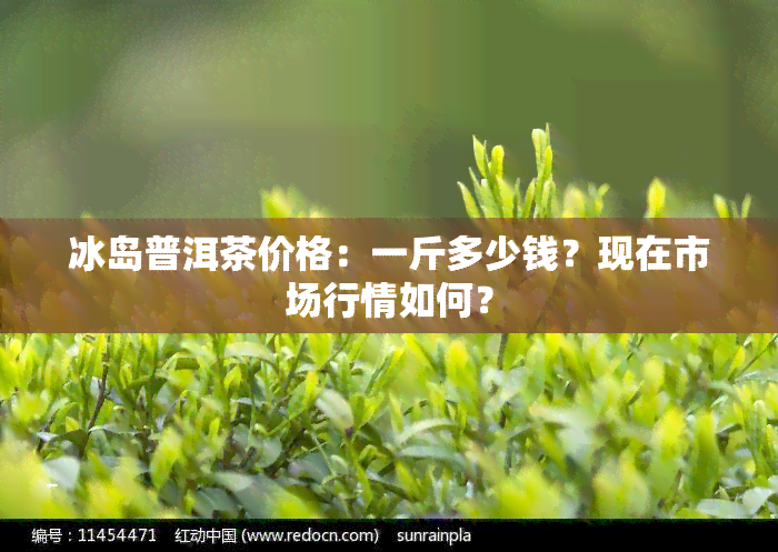 冰岛普洱茶价格：一斤多少钱？现在市场行情如何？