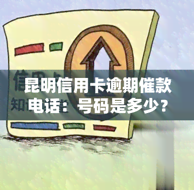 昆明信用卡逾期催款电话：号码是多少？