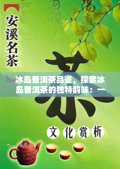 冰岛普洱茶品鉴，探索冰岛普洱茶的独特韵味：一次深度品鉴之旅