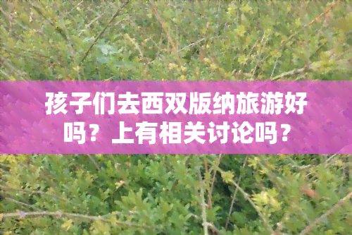 孩子们去西双版纳旅游好吗？上有相关讨论吗？