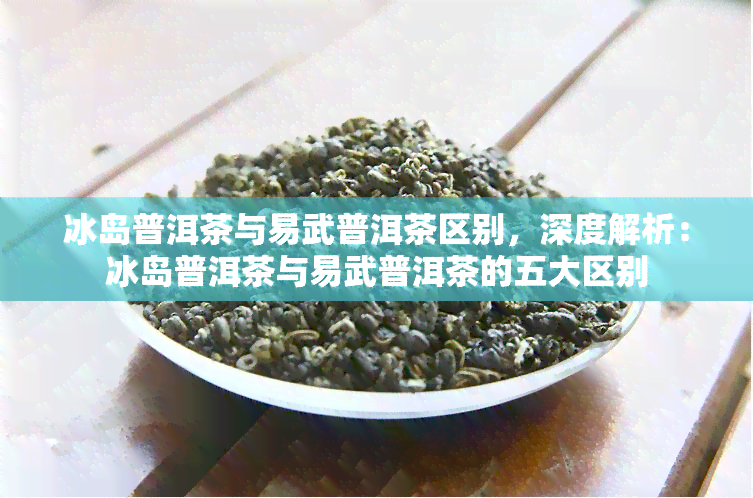 冰岛普洱茶与易武普洱茶区别，深度解析：冰岛普洱茶与易武普洱茶的五大区别