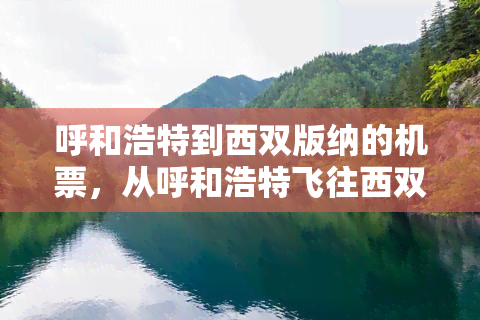 呼和浩特到西双版纳的机票，从呼和浩特飞往西双版纳：机票信息与预订指南