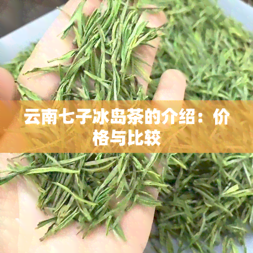 云南七子冰岛茶的介绍：价格与比较