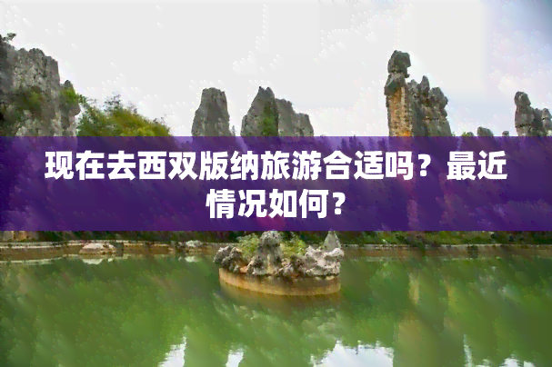 现在去西双版纳旅游合适吗？最近情况如何？