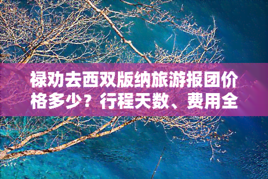 禄劝去西双版纳旅游报团价格多少？行程天数、费用全揭秘！