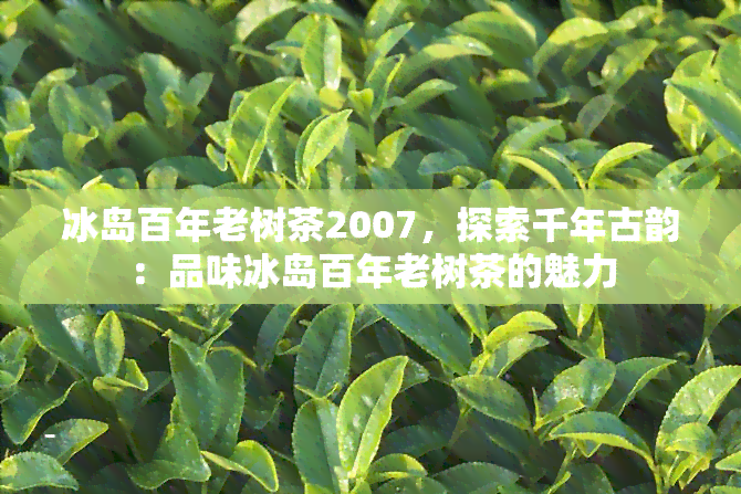 冰岛百年老树茶2007，探索千年古韵：品味冰岛百年老树茶的魅力