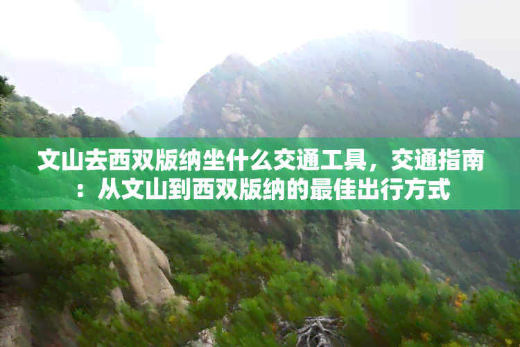 文山去西双版纳坐什么交通工具，交通指南：从文山到西双版纳的更佳出行方式