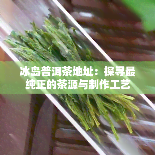 冰岛普洱茶地址：探寻最纯正的茶源与制作工艺