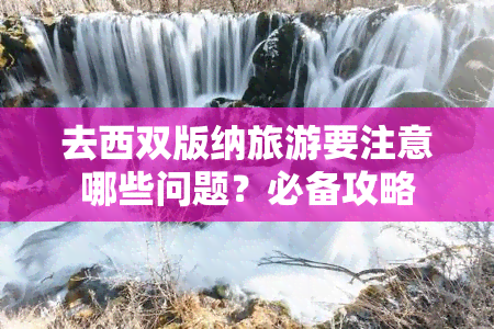 去西双版纳旅游要注意哪些问题？必备攻略