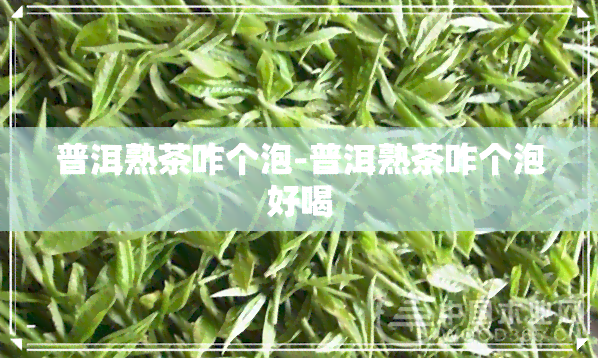 普洱熟茶咋个泡-普洱熟茶咋个泡好喝