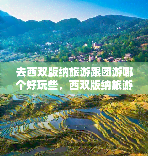 去西双版纳旅游跟团游哪个好玩些，西双版纳旅游：跟团游还是自由行，哪个更有趣？