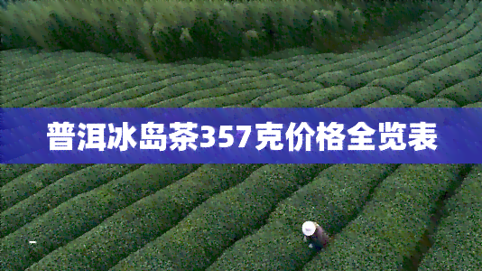 普洱冰岛茶357克价格全览表