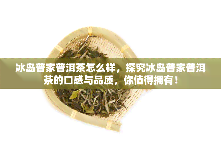 冰岛普家普洱茶怎么样，探究冰岛普家普洱茶的口感与品质，你值得拥有！