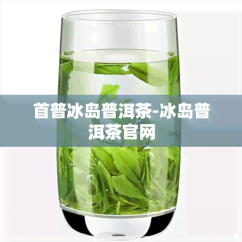 首普冰岛普洱茶-冰岛普洱茶官网