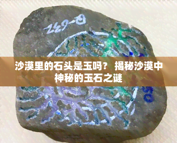 沙漠里的石头是玉吗？ 揭秘沙漠中神秘的玉石之谜