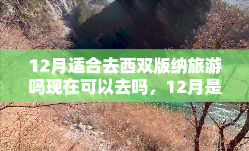 12月适合去西双版纳旅游吗现在可以去吗，12月是否适合前往西双版纳？现在可以计划旅行了吗？