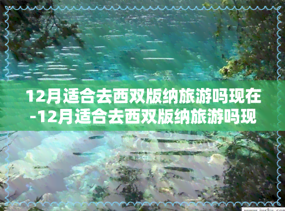 12月适合去西双版纳旅游吗现在-12月适合去西双版纳旅游吗现在能去吗