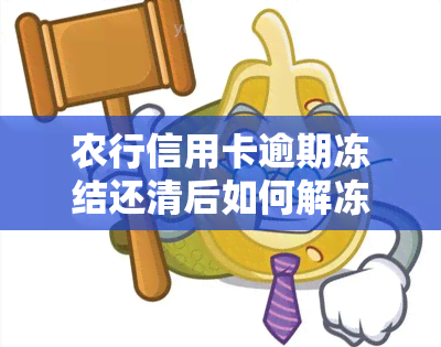 农行信用卡逾期冻结还清后如何解冻账户？