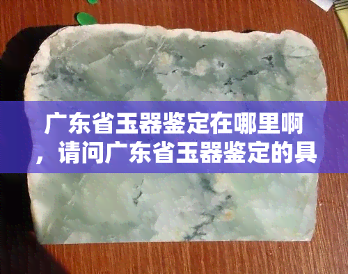 广东省玉器鉴定在哪里啊，请问广东省玉器鉴定的具     置在哪里？