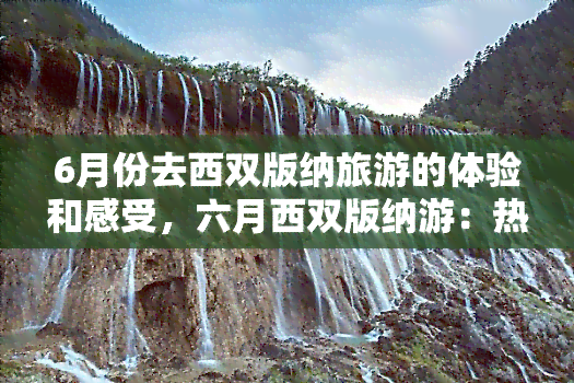 6月份去西双版纳旅游的体验和感受，六月西双版纳游：热带雨林探秘与民族风情体验