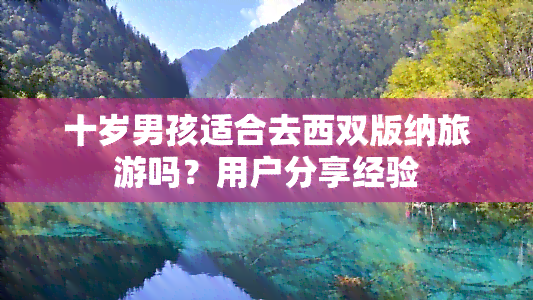 十岁男孩适合去西双版纳旅游吗？用户分享经验