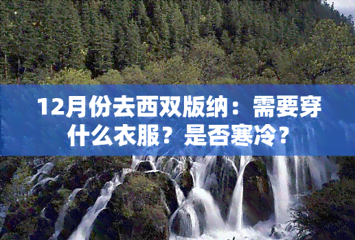 12月份去西双版纳：需要穿什么衣服？是否寒冷？