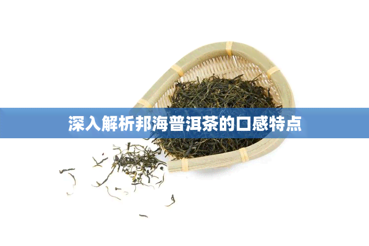 深入解析邦海普洱茶的口感特点