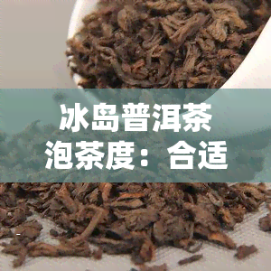 冰岛普洱茶泡茶度：合适的水是多少？