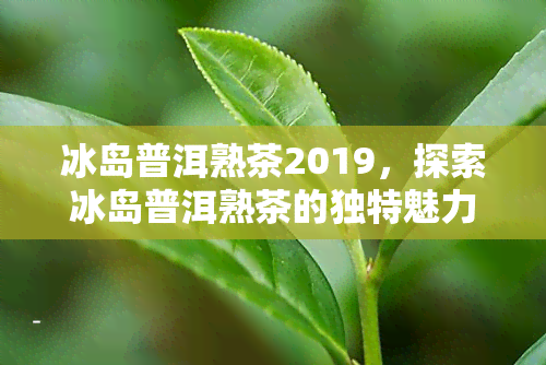 冰岛普洱熟茶2019，探索冰岛普洱熟茶的独特魅力：2019年新品推荐