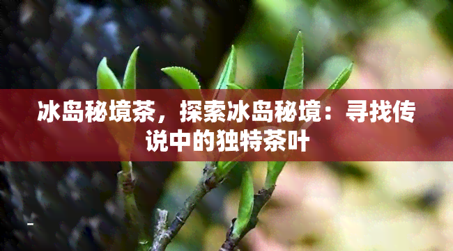 冰岛秘境茶，探索冰岛秘境：寻找传说中的独特茶叶