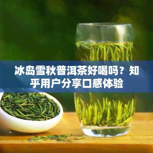 冰岛雪秋普洱茶好喝吗？知乎用户分享口感体验