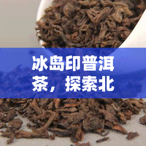 冰岛印普洱茶，探索北风味：冰岛印普洱茶的魅力与特色